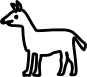 Lama